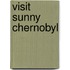 Visit Sunny Chernobyl