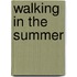 Walking in the Summer