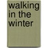 Walking in the Winter
