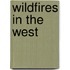 Wildfires in the West