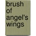 Brush Of Angel's Wings