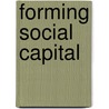 Forming Social Capital by Anna Monhartova