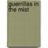 Guerrillas in the Mist