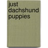 Just Dachshund Puppies by Willowcreek Press