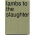 Lambs to the Slaughter