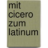 Mit Cicero Zum Latinum door Simon Lozo