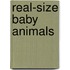 Real-Size Baby Animals