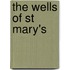 The Wells of St Mary's