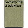 Betriebliche Produktion door Harald Dyckhoff