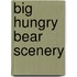 Big Hungry Bear Scenery