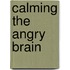 Calming The Angry Brain