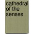 Cathedral of the Senses