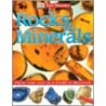 Dk Ewd Rocks & Minerals door Dk Publishing