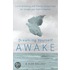 Dreaming Yourself Awake