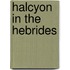 Halcyon In The Hebrides