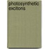 Photosynthetic Excitons