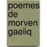 Poemes de Morven Gaeliq