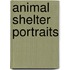 Animal Shelter Portraits