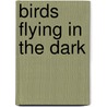 Birds Flying in the Dark by Amos Keppler