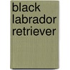 Black Labrador Retriever by Avonside Publishing