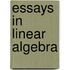 Essays In Linear Algebra