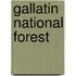 Gallatin National Forest