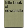 Little Book Of Newcastle door Ian Welch