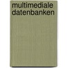 Multimediale Datenbanken door Klaus Meyer-Wegener