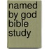 Named By God Bible Study