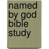 Named By God Bible Study by Kasey Van Norman