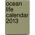 Ocean Life Calendar 2013