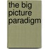 The Big Picture Paradigm