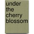 Under The Cherry Blossom
