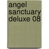 Angel Sanctuary Deluxe 08