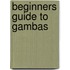 Beginners Guide To Gambas