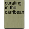 Curating in the Carribean door David Bailey