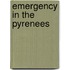 Emergency in the Pyrenees