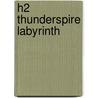 H2 Thunderspire Labyrinth door Richard Baker