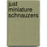 Just Miniature Schnauzers