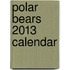 Polar Bears 2013 Calendar