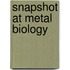 Snapshot At Metal Biology