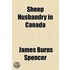 Sheep Husbandry In Canada