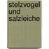 Stelzvogel und Salzleiche