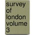 Survey of London Volume 3