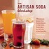 The Artisan Soda Workshop