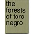 The Forests of Toro Negro