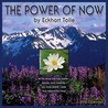 The Power of Now Calendar by Eckhart Tolle