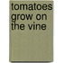 Tomatoes Grow on the Vine