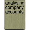 Analysing Company Accounts by Martin Roth