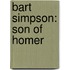 Bart Simpson: Son Of Homer